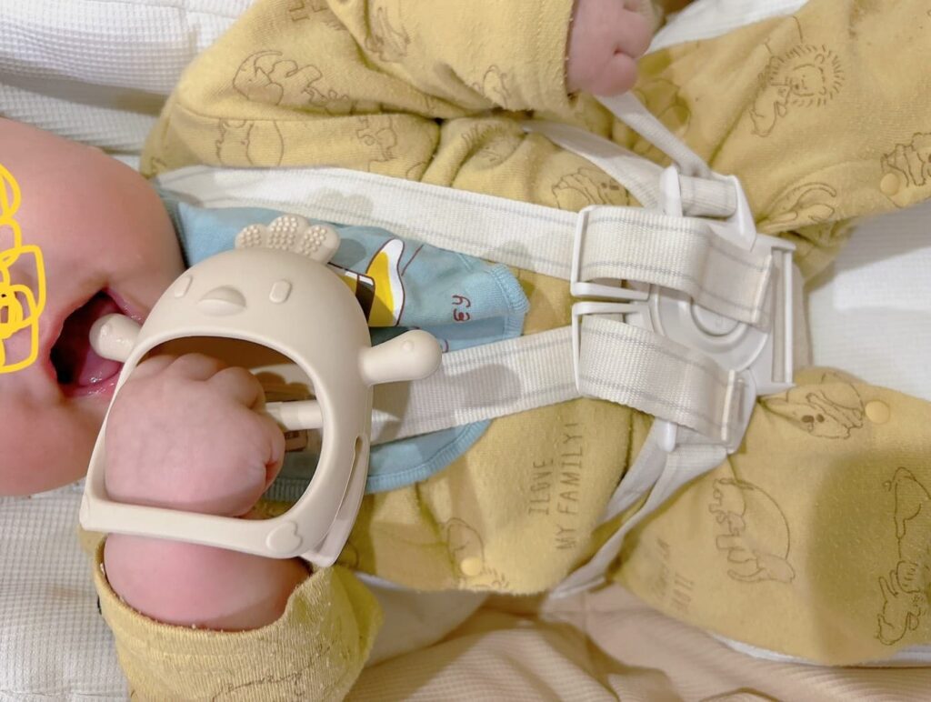 かみかみチキンがおすすめな人